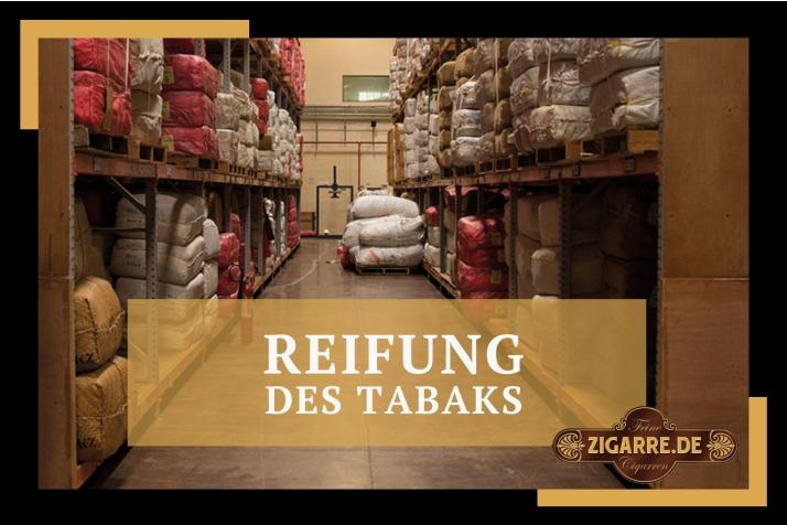 Zigarrenreifung Blog