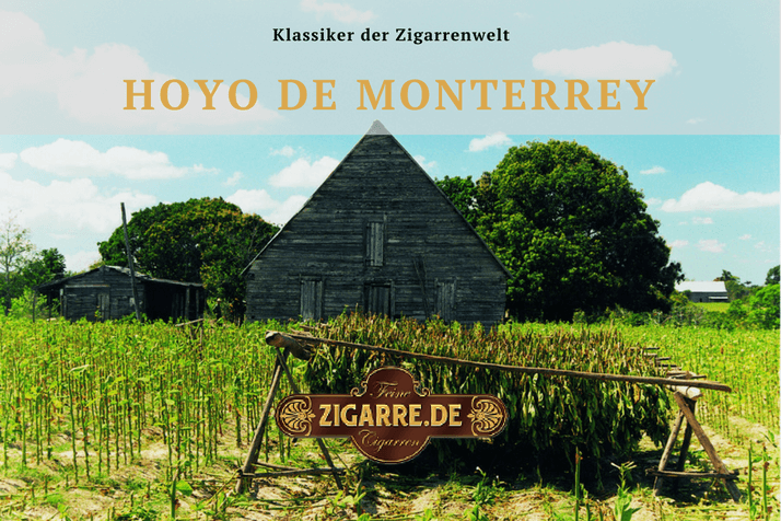 Klassiker der Zigarrenwelt: Hoyo de Monterrey