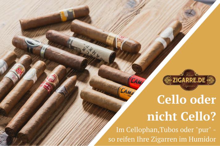 Zigarren im Cellophan