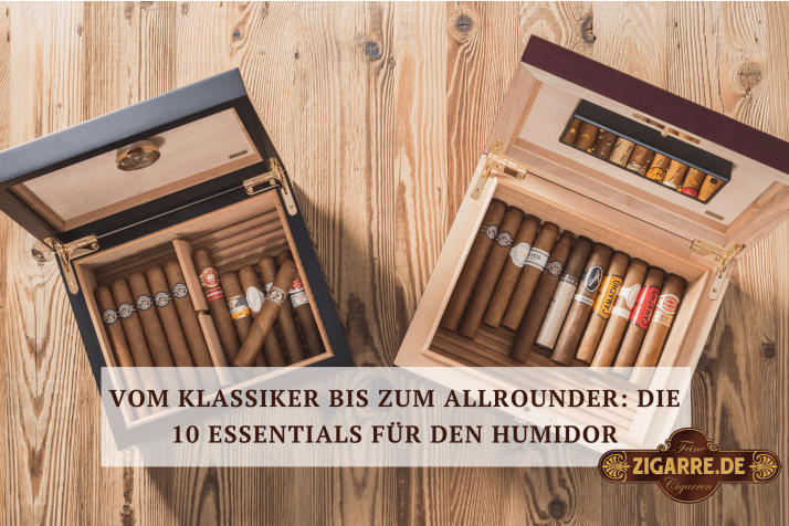Im Humidor liegen Klassiker und Essentials 