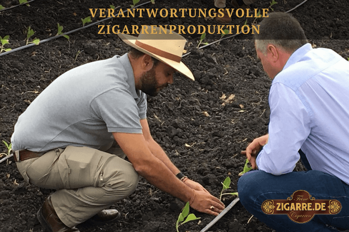 Plasencia - Einblicke in eine verantwortungsvolle Zigarrenproduktion