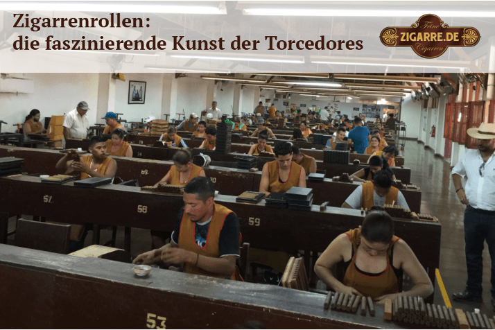 Zigarrenroller in einer Zigarrenmanufaktur