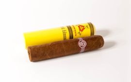 Montecristo Petit Edmundos Tube 