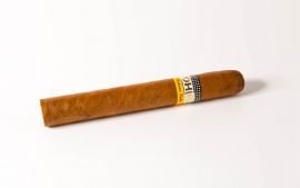 Cohiba Siglo II ganze Zigarre