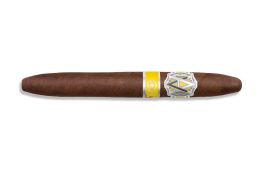 AVO Uvezian Regional North Edition