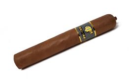 Cohiba Behike BHK 54 einzeln