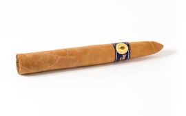 Santa Damiana Torpedo