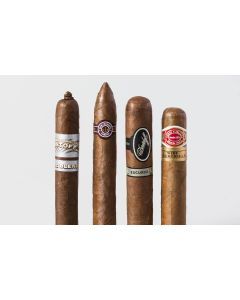 Stephani Sr. Sampler