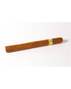 Cohiba Siglo III ganze Zigarre