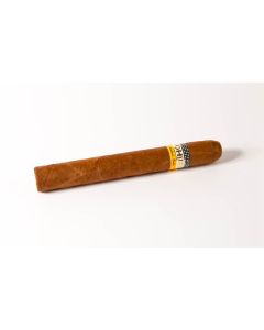 Cohiba Siglo IV ganze Zigarre