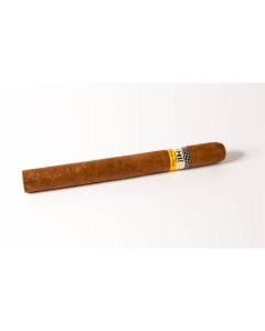 Cohiba Siglo V
