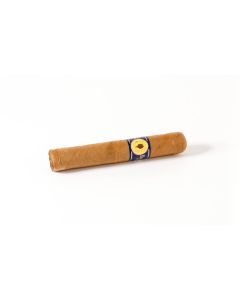 Santa Damiana Perlas