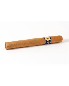 Santa Damiana Corona