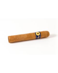 Santa Damiana Robusto
