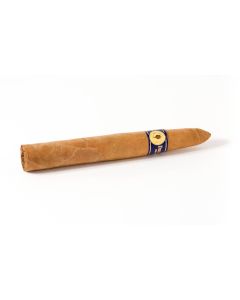 Santa Damiana Torpedo