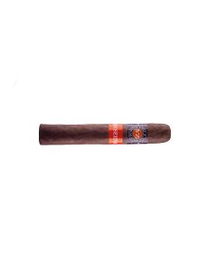 Villa Zamorano Reserva Robusto Einzeln
