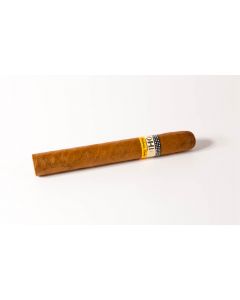 Cohiba Siglo II ganze Zigarre