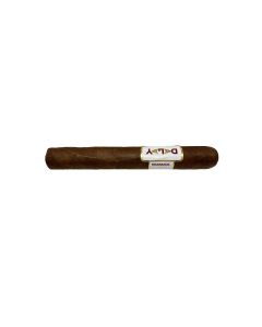 Dalay Nicaragua Toro Einzel