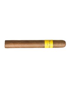 Montosa Amarillo Toro Einzelstück