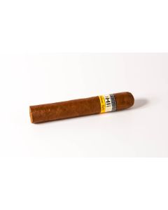 Cohiba Siglo I ganz