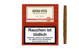 Buena Vista Dark Fired Kentucky Miniaturas