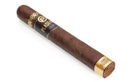 Plasencia Alma del Fuerte Nestor IV Toro