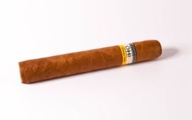 Cohiba Robusto einzeln