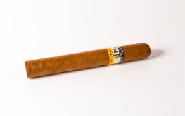 Cohiba Siglo II ganze Zigarre