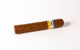 Cohiba Siglo I ganz