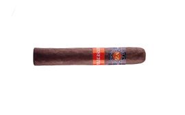 Villa Zamorano Reserva Robusto Einzeln