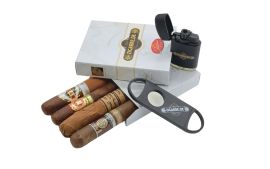 zigarre.de Maduro Sampler