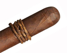 cao amazon basin