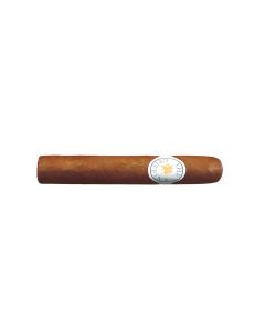 The Griffin's Classic Gran Robusto einzeln