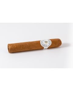 The Griffin's Classic Robusto
